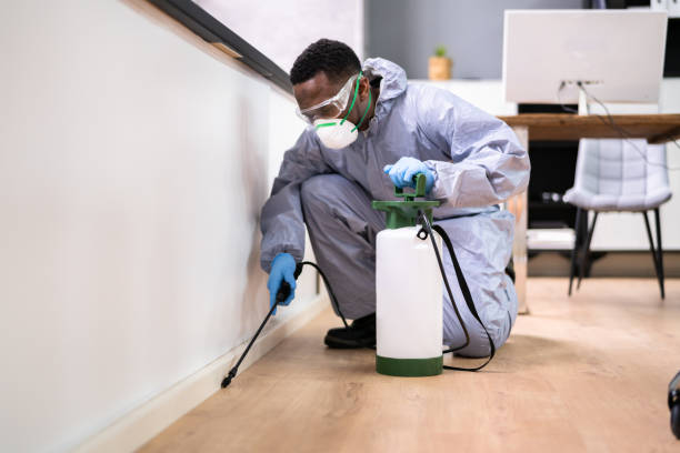 Best Fumigation Services  in Loganville, PA